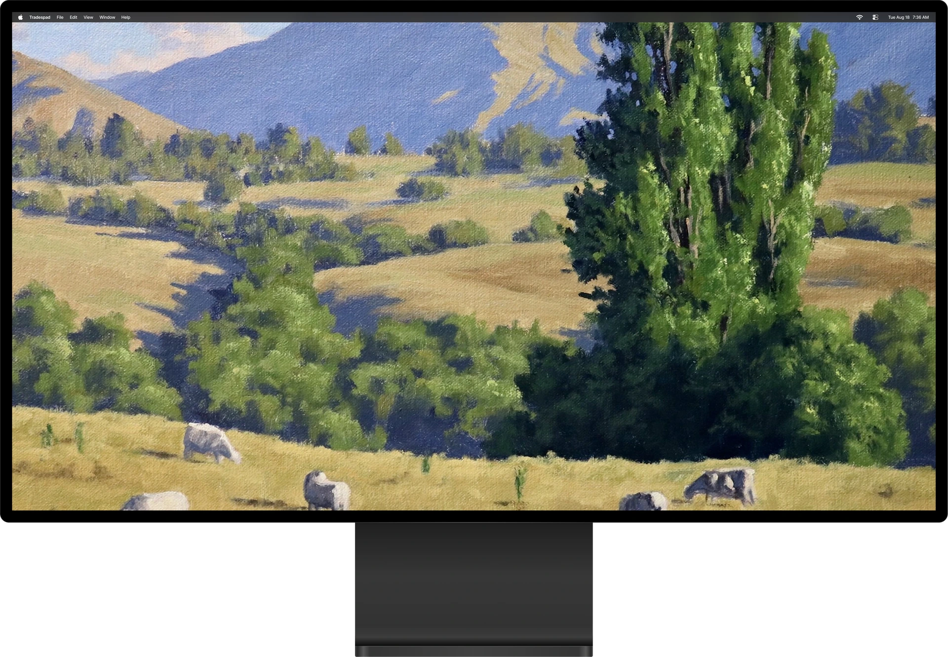 Mac display showing Tradespad backtesting environment
